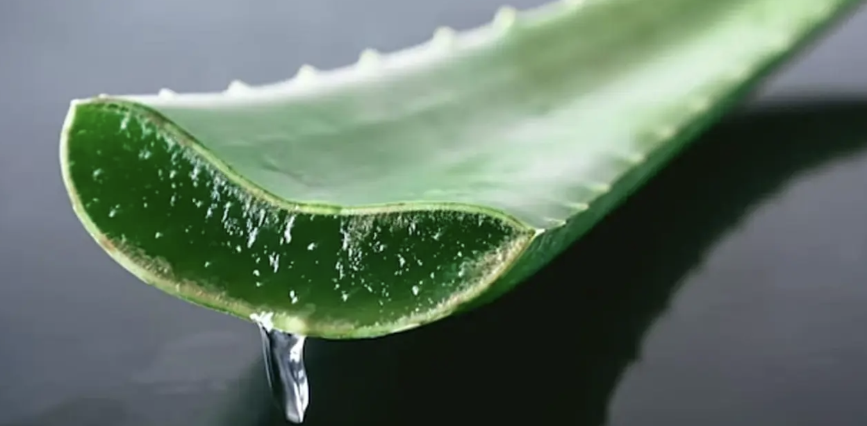 Aloe Vera Eye Care